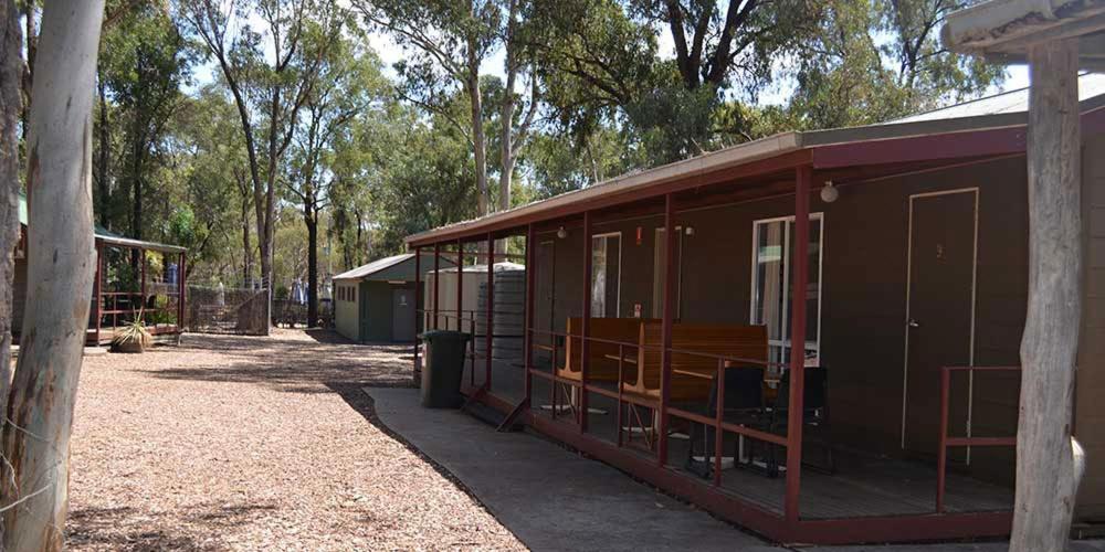 Bendigo Bush Cabins Ngoại thất bức ảnh